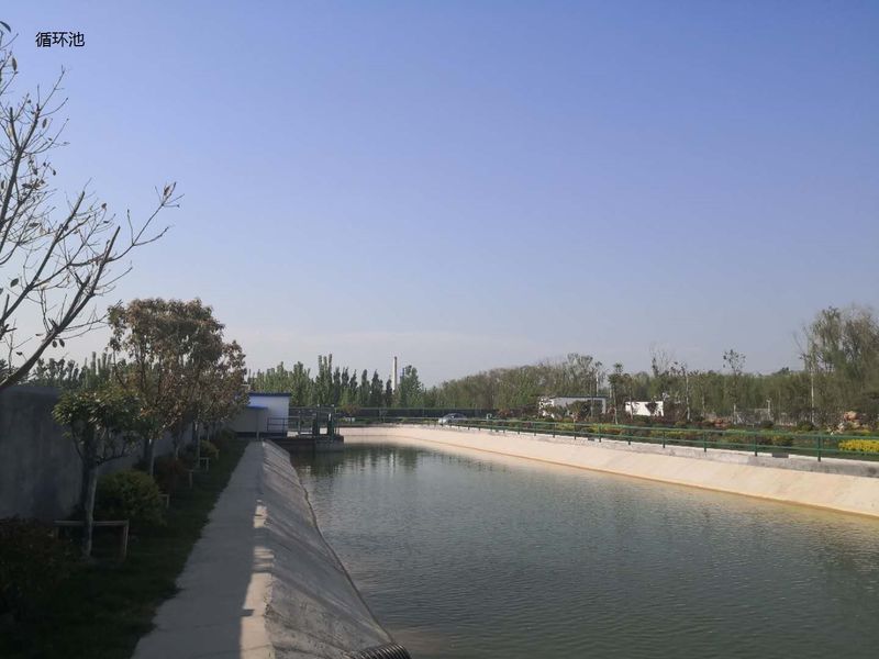 Cina Shandong Xingshun New Material Co., Ltd. Profil perusahaan 